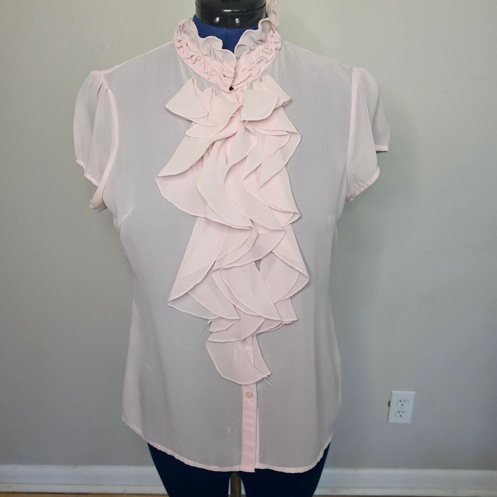 Sunny Leigh Pink Ruffle Blouse Sheer Romantic Victorian Top L
